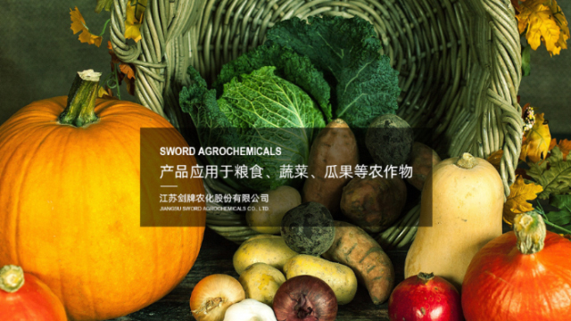 2138cn太阳集团城